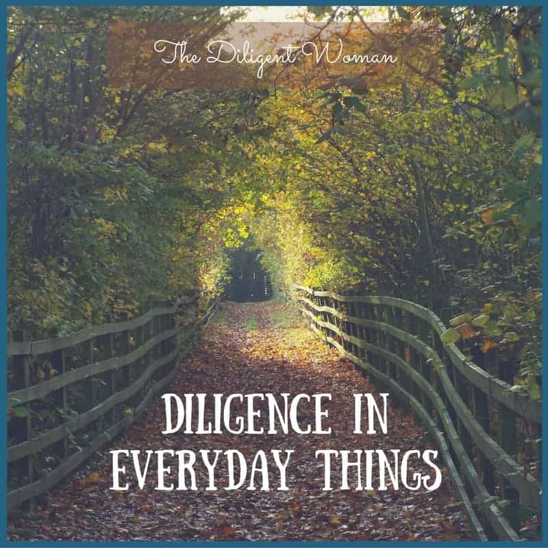 Diligence in Everyday Things