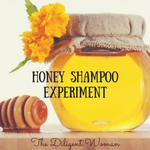 Honey Shampoo Experiment | The Diligent Woman