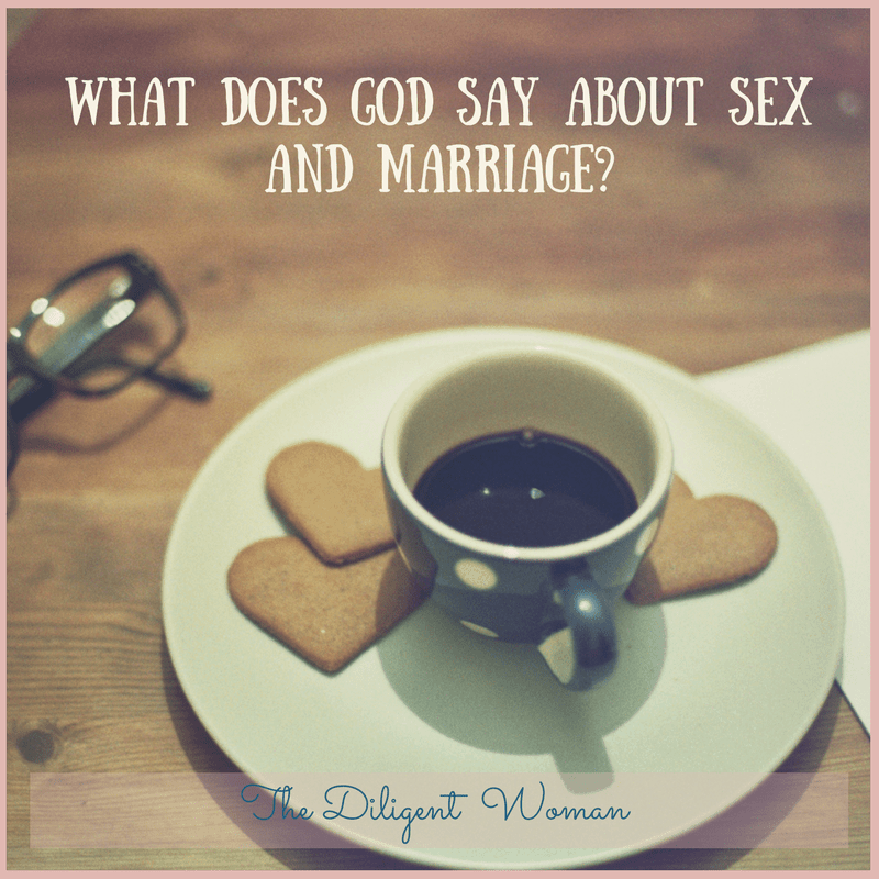 Sex is a topic talked about in many circles. But what attitude does God say we should have about sex? How important should it be in our marriages? Join The Diligent Woman in seeking what God has to say about this controversial topic.