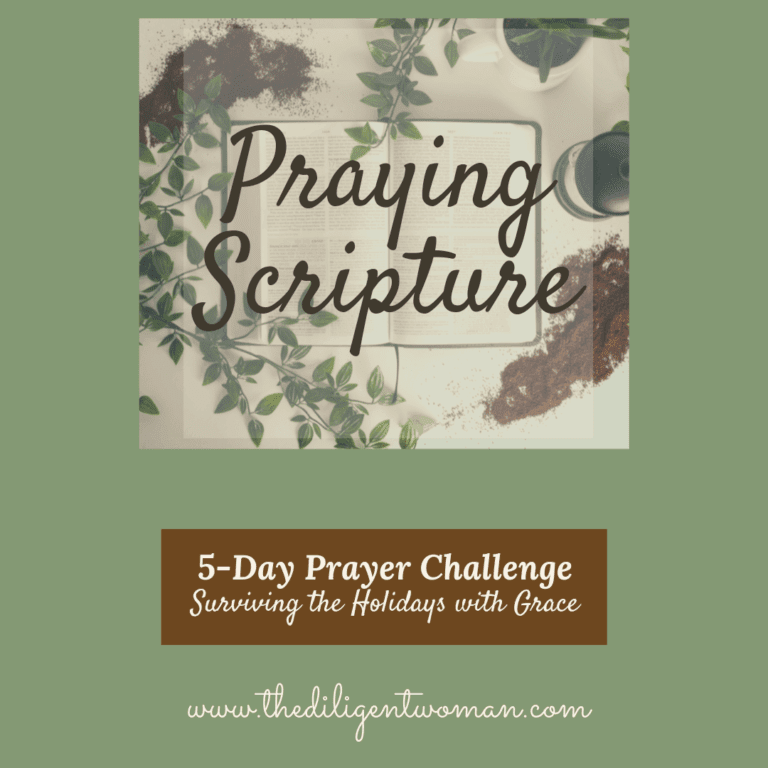 How to Pray Scripture – 5-Day Prayer Challenge – Holiday Edition – Day Three