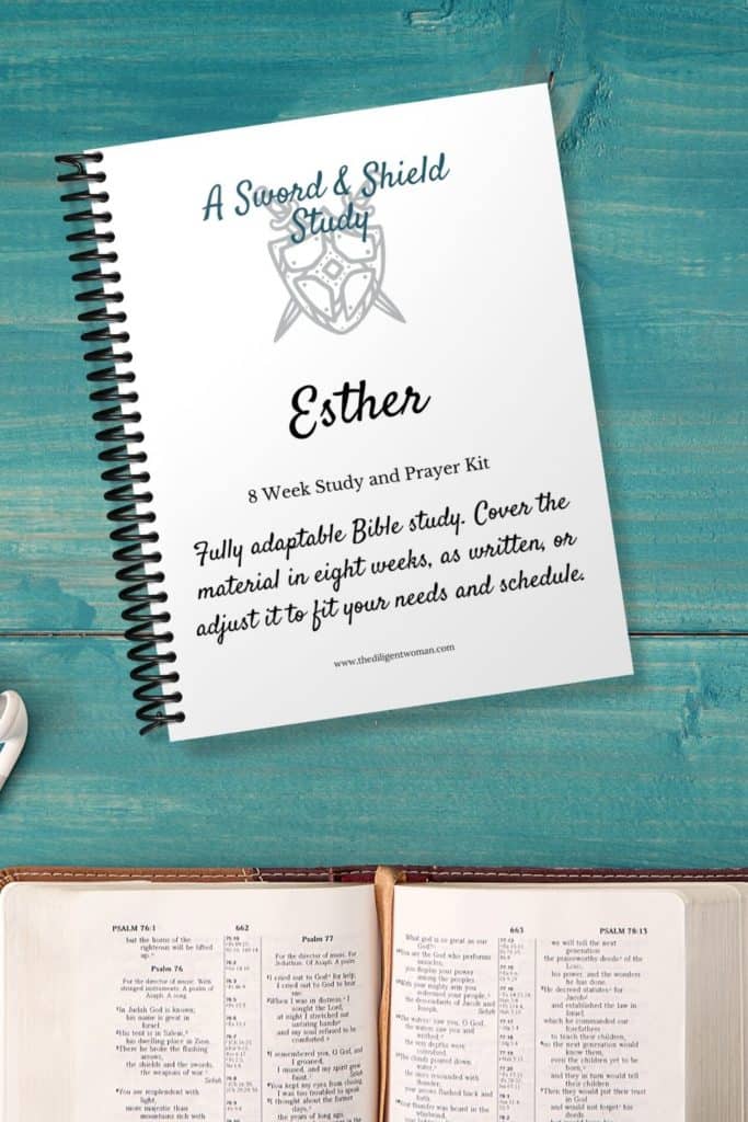 Get the Sword and Shield Esther 8-week Study and Prayer kit from thediligentwomanshop.com