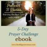 Offer | New Year Prayer Challenge 2021